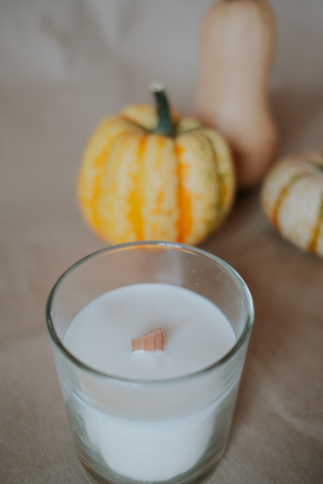 MIDNIGHT SEASONS - VELA DE 40H